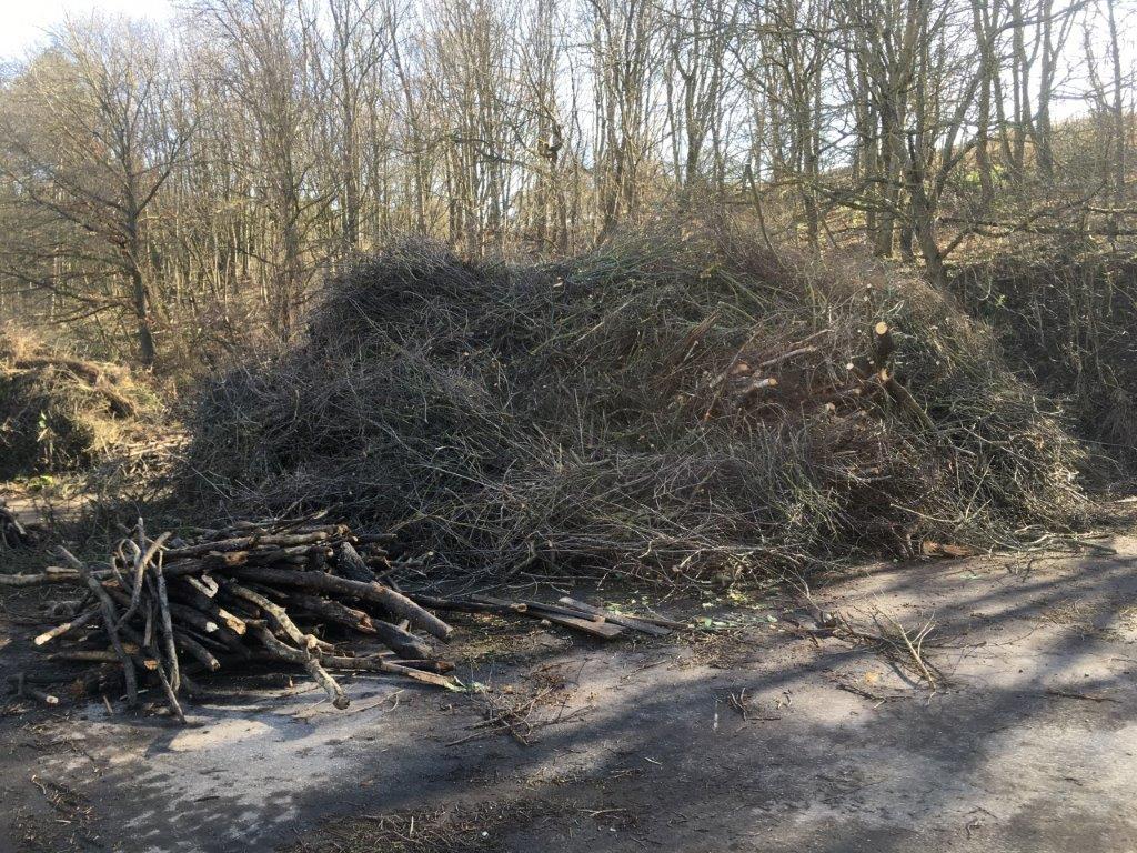 Entsorgung von Obstbaumschnittgut 